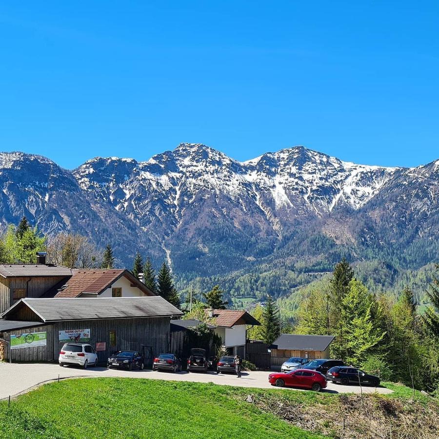 Lindwurm Hotel 2*